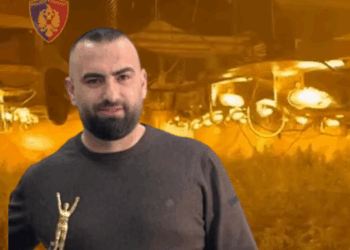 Dalin pamjet nga magazina e drejtorit të burgut të Rrogozhinës, ja si funksiononte laboratori i sofistikuar me 4 mijë rrënjë kanabis në Peqin