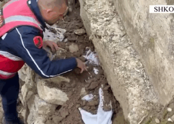 Arrestohen tre persona në Shkodër, policia sekuestron armë, municion luftarak dhe lëndë narkotike