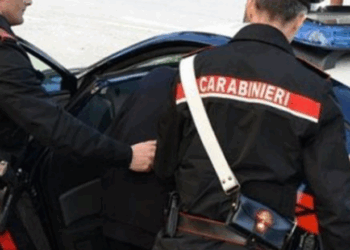 Shiste kokainë në parkun e fëmijëve, arrestohet shqiptari në Itali