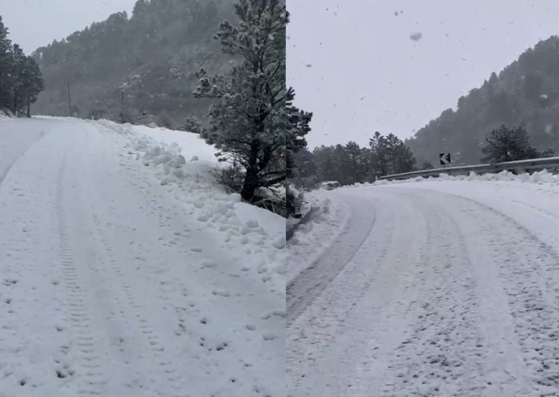 Reshje dëbore dhe në Qafën e Llogarasë  zbardhet rruga  borëpastrueset në terren