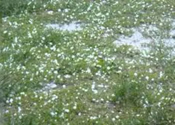 Moti i keq shkakton dëme në disa fshatra të luginës së Vjosës, breshëri u dëmton të mbjellat fermerëve