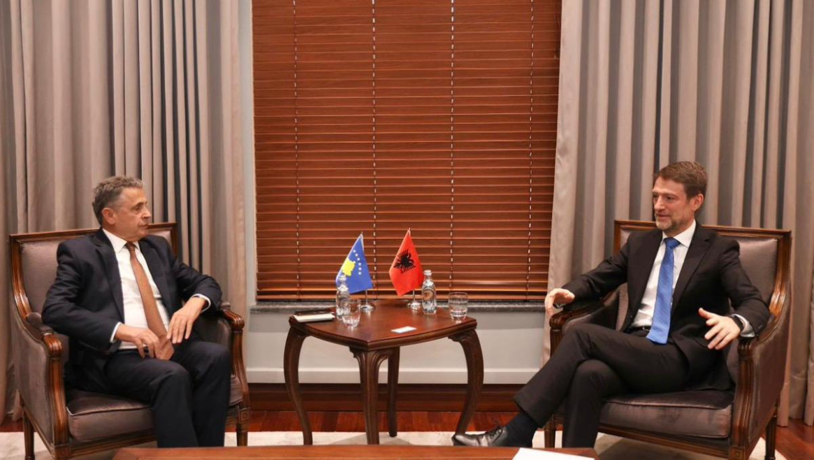 Hoxha pret Ambasadorin Durmishi  Kosova  përparësi e padiskutueshme e politikës së jashtme të Shqipërisë