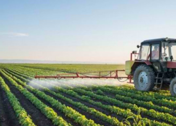 Miratohet Skema Kombëtare e Bujqësisë. Rriten subvencionet bagëtitë dhe të mbjellat