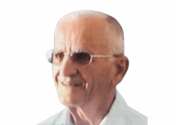 Disa rreshta në respekt të qytetarit, Profesorit Petrit Peni