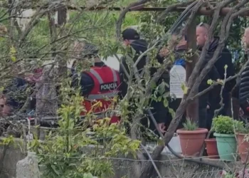 Detaje nga krimi në Roskovec/ I moshuari vrau bashkëshorten dhe më pas veten, policia kishte ndërhyrë pak ditë më parë për të “shuar” sherrin