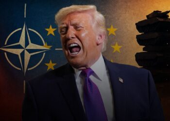 “Pa ne jeni tigër prej letre”, Trump ashpërson tonet ndaj NATO-s: Frikacakë, do ta kujtojmë!