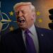 “Pa ne jeni tigër prej letre”, Trump ashpërson tonet ndaj NATO-s: Frikacakë, do ta kujtojmë!