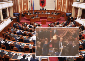 Parlamenti, siç duhet të jetë