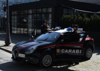 Trafikonte kokainë të fshehur në vazo lulesh e pako çamçakëzi, arrestohet adoleshenti shqiptar në Itali