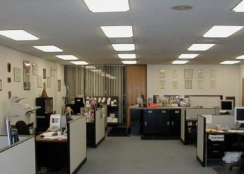 Të gjithë duan të punojnë në shtet në Shqipëri/ Raporti i DAP për 2025 tregon rritje të ndjeshme të interesit