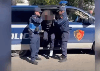 Armë zjarri, municion luftarak dhe kokainë në banesë, arrestohet në flagrancë 59-vjeçari