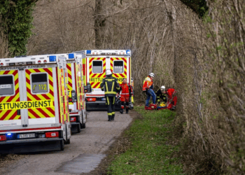 Tragjedi në Gjermani! Pema rrëzohet nga era e fortë, 3 viktima në festën e Pashkëve