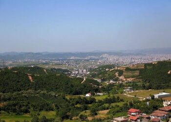 E pazakontë në Tiranë! Gjenden 11 qen të ngordhur në kazanët e mbeturinave, nis hetimi