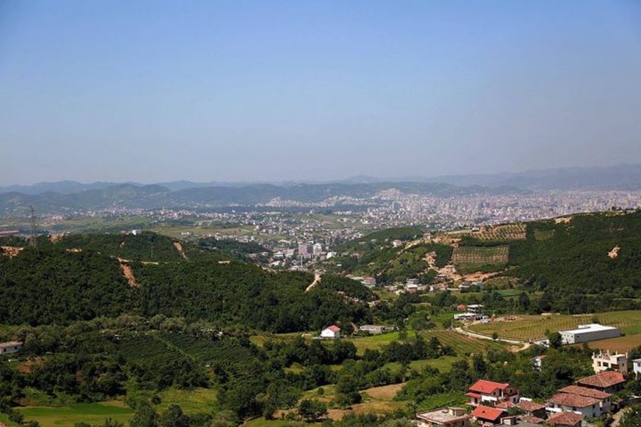 E pazakontë në Tiranë  Gjenden 11 qen të ngordhur në kazanët e mbeturinave  nis hetimi