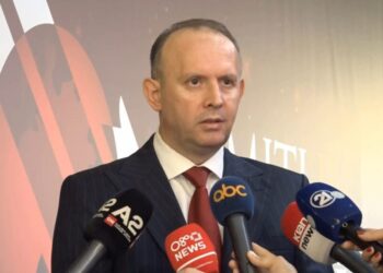 “Isha i pari që…”, Afrim Gashi: Sa më pak politikë, aq më afër zyrtarizimit të gjuhës shqipe në RMV
