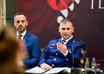 Samiti i Diasporës, Hita: Siguria është pasaporta e Policisë për miliona turistë dhe vizitorë
