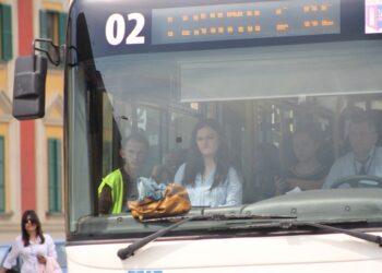 A do të reduktohet flota e autobusëve? Shoqata e Transportit letër ministrave, nesër pritet vendim