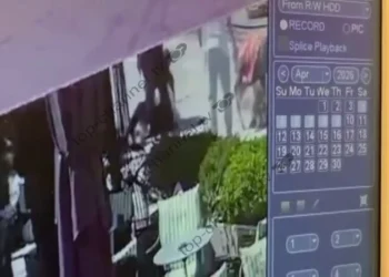 VIDEO/ Momenti kur 5 persona tentojnë ta shpëtojnë 4-vjeçaren nga pitbulli që e kafshoi në Vlorë