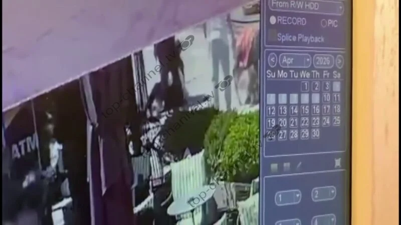 VIDEO  Momenti kur 5 persona tentojnë ta shpëtojnë 4 vjeçaren nga pitbulli që e kafshoi në Vlorë