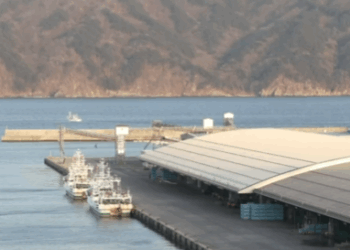 VIDEO / Tërmet i fuqishëm në Japoni, paralajmërim për cunami në bregdetin verilindor
