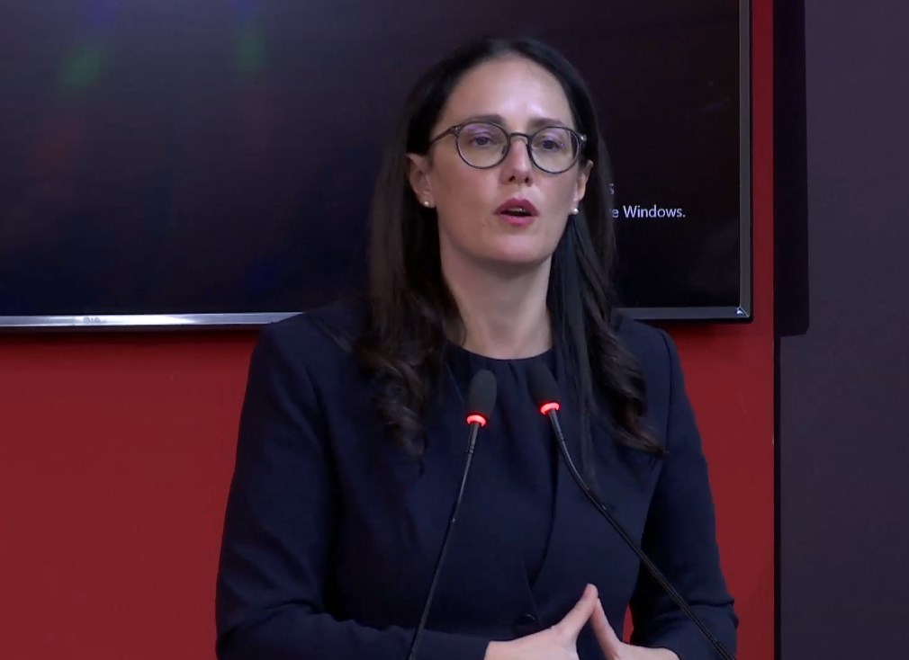 Samiti  Ibrahimaj  Diaspora  partner kyç për zhvillimin ekonomik dhe inovacionin në vend