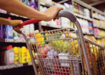 Shporta e shkurtit, si po ndryshojnë çmimet (rritje për zarzavatet dhe frutat)