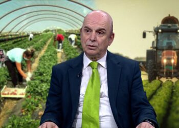 “Skema në bujqësi, antikombëtare. Fermerët, kthim te parmenda”