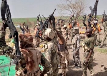 Fshatarët refuzuan të paguajnë “taksat”, të paktën 21 të vrarë në Nigeri pas përleshjeve me bandat