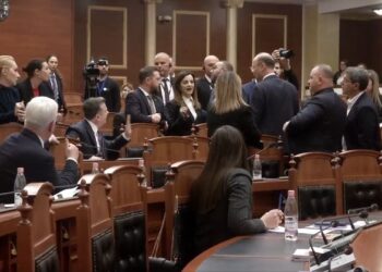 “Mos m’i përmend fëmijët mua në këtë grup të qelbur!”, deputetja e PD përplaset me ish-ministren e PS