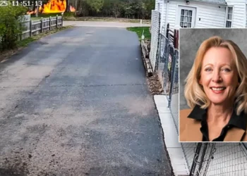 VIDEO / Rrëzohet avioni pranë Minneapolis, humbin jetën një ligjvënëse dhe piloti