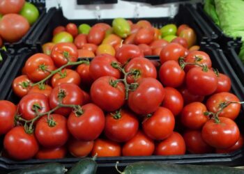 Në tre muajt e parë u arketuan 13.3 % më shumë të ardhura