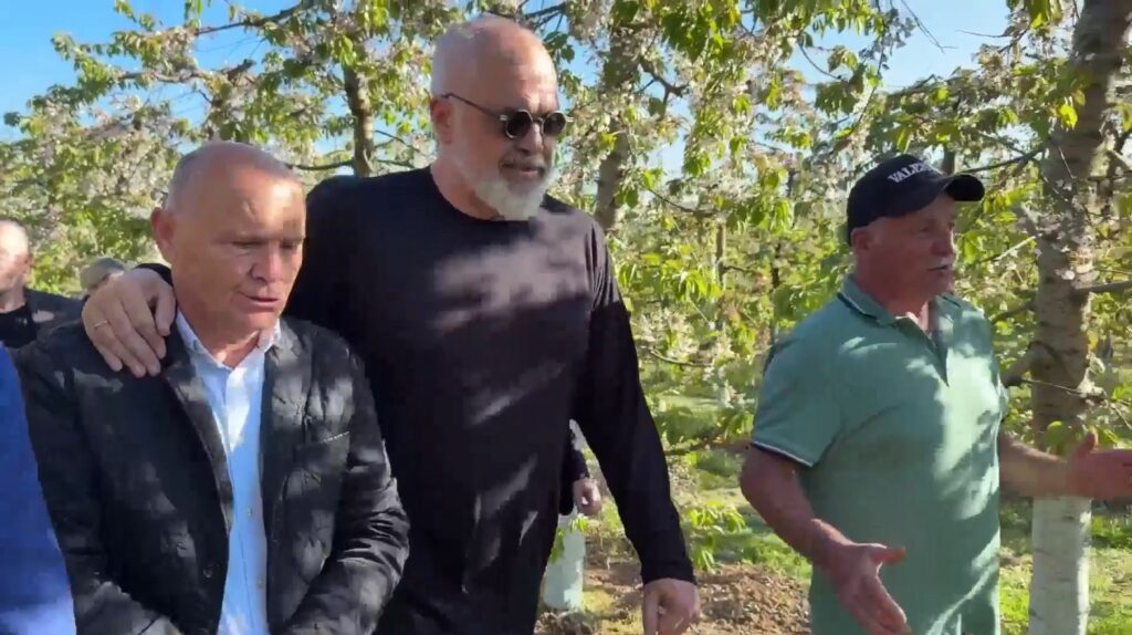 Fermeri ndan lajmin me Ramën  Dibra së shpejti me kooperativë për qershitë