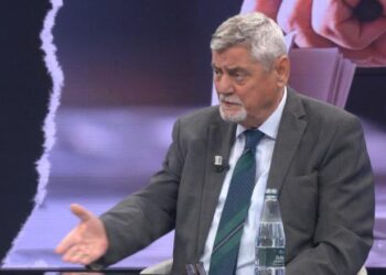 Dashamir Shehi kritikon protestat e Berishës: Patetizëm politik, kjo rrugë nuk e çon askund