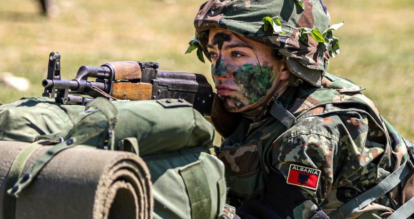 Shqipëria forcon Mbrojtjen  ekspertet  Rezervistët rriten kapacitetet ushtarake