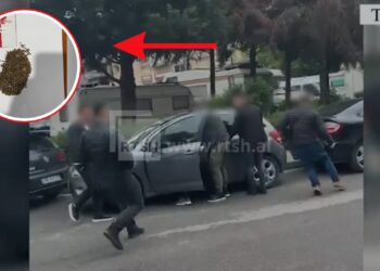 Iu gjetën 1000 fara kanabisi në automjet, arrestohen në flagrancë 66-vjeçari në Tiranë