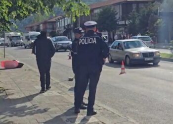 Aksidenti në Shkodër, policia jep detajet: Kamioni përplasi për vdekje këmbësorin, shoqërohet drejtuesi