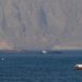 Anija tregtare u sulmua pranë Dohas, Irani: Paralajmërim për vështirësi në Hormuz për vendet me sanksione