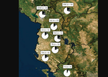 Studimi: Shqiptarët rrjedhin nga popullsi autoktone ballkanike. Evidenca nga ADN-ja e lashtë