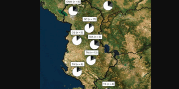 Studimi: Shqiptarët rrjedhin nga popullsi autoktone ballkanike. Evidenca nga ADN-ja e lashtë