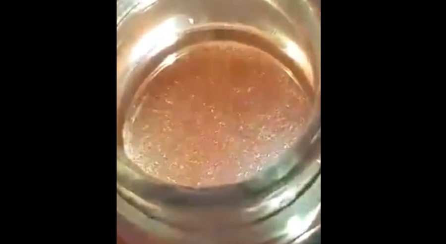 VIDEO   Ja uthulla me krimba tek Akademia e Sigurisë  AKU sekuestro ushqimeve dhe gjobë subjektit