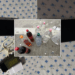 “Party” në burgun e Peqinit? Zbulohen telefona, whiskey, verë dhe raki në qelitë e të dënuarve