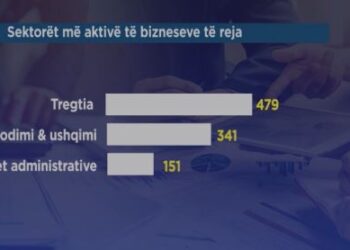 Rritet sipërmarrja në Shqipëri, 2009 biznese të reja në muajin prill, dominon Tirana