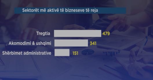 rritet-sipermarrja-ne-shqiperi-2009-biznese-te-reja-ne-muajin-prill-dominon-tirana