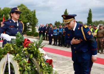 Rivarrimi i Novruz Cenaliajt, Hita: Kush prek një polic, ka goditur themelet e shtetit