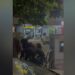 Furnizonte me kokainë shpërndarësit e drogës në Tiranë, pranga 37-vjeçarit
