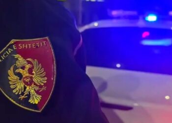 90 operacione, 571 të arrestuar dhe dhjetëra raste kriminale të goditura/ Kronikë Policia publikon shifrat e prillit