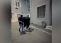 Arrestohet në Vlorë i kërkuari për 82 kg kokainë në Spanjë, 30-vjeçari pjesë e grupit kriminal ndërkombëtar (EMRI)