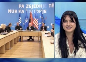 Zgjedhjet pa garë/ Berisha i vetëm në “garë”/ Alesia Balliu: Farsë e shëmtuar, ditë e zezë për PD! Elezi: Zgjidhja, krijimi i një poli të tretë
