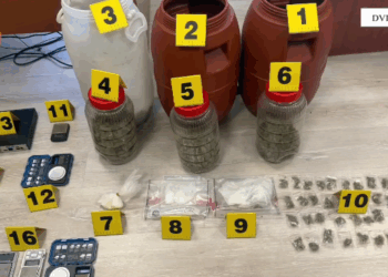 VIDEO / Zbardhet operacioni në Elbasan: 16 të arrestuar, 8 në kërkim dhe 27 kontrolle banesash