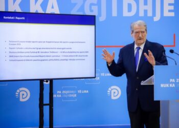 Berisha për raportin e PE: Sanksionon denoncimet tona, lakrorit i kanë dalë petët!